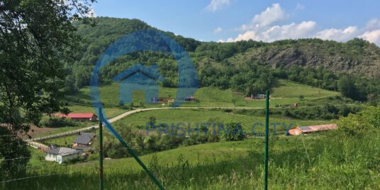 Shitet Toka në Prapashticë