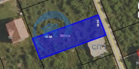 Shitet Toka në Mat Afër Kolegjit Millenium