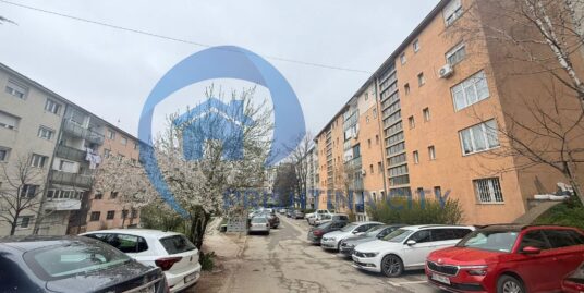 Shitet Banesa në Ulpianë te Llesna